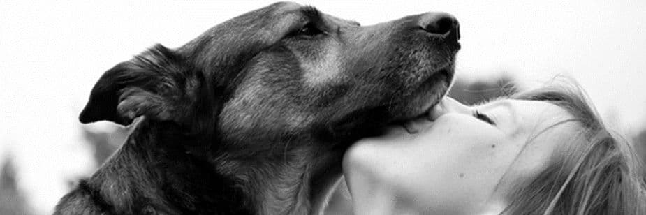 Justiça de Mato Grosso decide: Tut volta para casa!