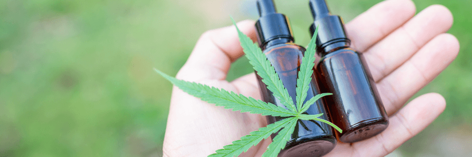STJ Valida Regulamentação da Anvisa para Cultivo Medicinal da Cannabis e Consolida Novo Marco no Brasil